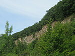 IMG_1929