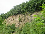 IMG_1930