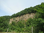 IMG_1937