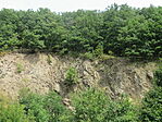 IMG_1940