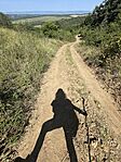 IMG_3602