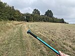 IMG_3951