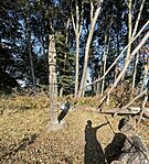gcmm17-IMG_3979