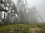 IMG_0145