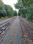 IMG_20240812_174700