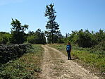 DSC09575