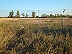 IMG_20240810_190052_525.jpg_compressed