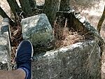 IMG_20240731_142041858_MFNR