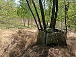IMG_20240731_142057354_MFNR