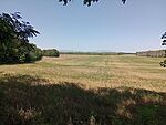 IMG_20240731_142351592_MFNR