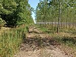 IMG_20240731_142423102_MFNR