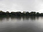 A Tisza a szigetről