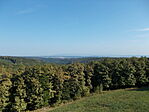 Panoráma
