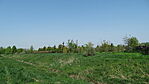 DSC09113