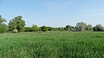 DSC09047