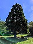 IMG_20240825_113233