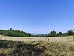 IMG_20240804_103401