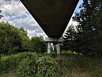 IMG_20240809_160451