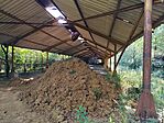 IMG_20240809_091208