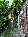 IMG_20240810_173344