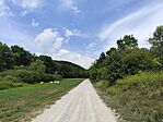 IMG_20240817_124423