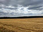 IMG_20240803_110344
