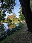 IMG_20240814_081303