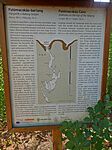 IMG_20240814_091434