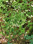 IMG_20240814_092152