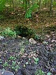 IMG_20240814_095101