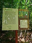 IMG_20240814_101722