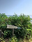 IMG_20240830_101321