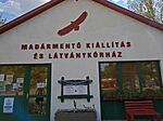IMG_20240831_145923