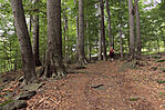 IMG_8585_1