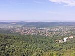 IMG20240812100756