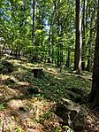 IMG20240813115440