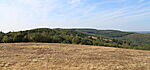 Zöldell