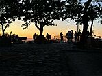 IMG_2426
