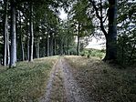 IMG_2455