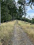 IMG_2457