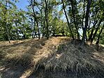 IMG_2459