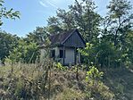 IMG_2480
