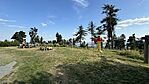 IMG_2501