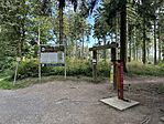 IMG_2498