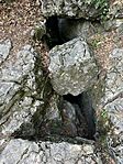 IMG_2521