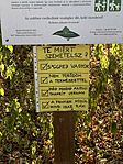 IMG_2524