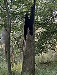 IMG_2526