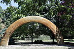IMG_20240728_131706_4021