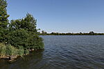 IMG_20240730_082833_4071