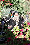 IMG_20240730_083332_4075